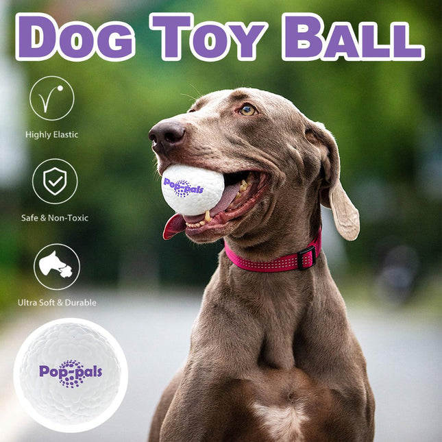 Durable High Elastic Bouncy Dog Toy Ball Lightweight Fetch Play Ball for Pets