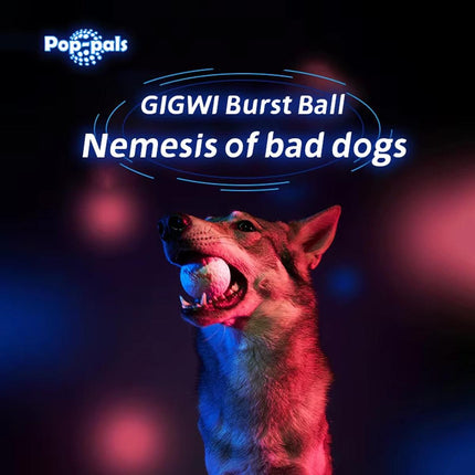 Durable High Elastic Bouncy Dog Toy Ball Lightweight Fetch Play Ball for Pets