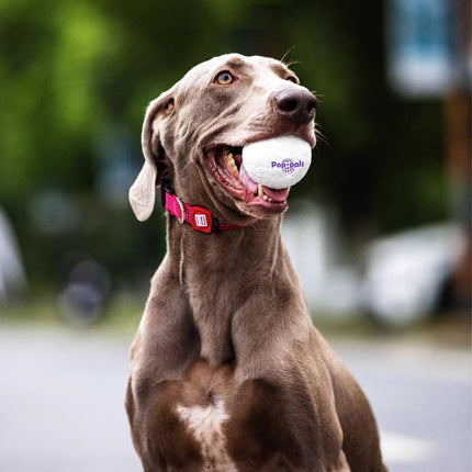 Durable High Elastic Bouncy Dog Toy Ball Lightweight Fetch Play Ball for Pets