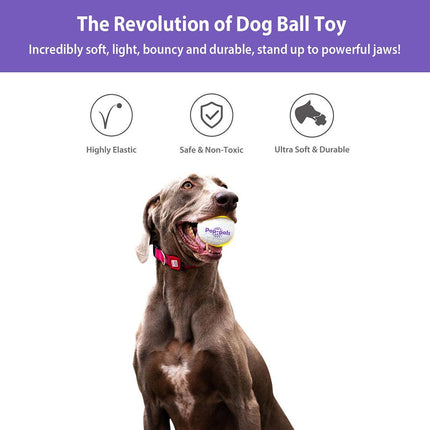 Durable High Elastic Bouncy Dog Toy Ball Lightweight Fetch Play Ball for Pets