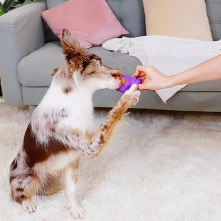 Teething Biscuits Dog Toys Bite Resistant Chew Treats for Puppies and Small Dogs