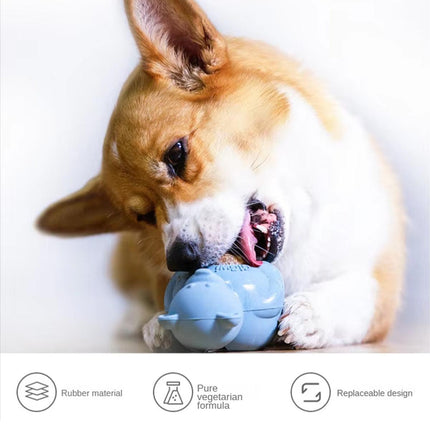 Teething Biscuits Dog Toys Bite Resistant Chew Treats for Puppies and Small Dogs