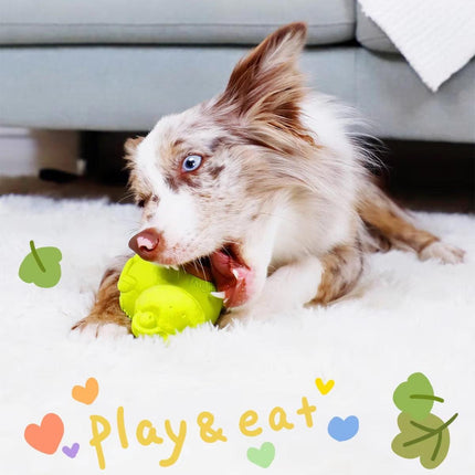 Teething Biscuits Dog Toys Bite Resistant Chew Treats for Puppies and Small Dogs