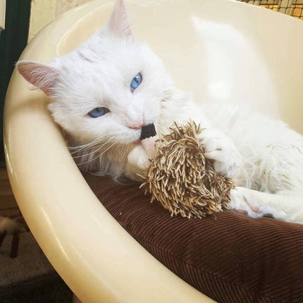Motion Activated Hedgehog Cat Toy Plush Realistic Animal Sound Interactive Play