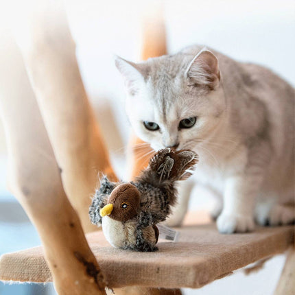 Bird Shape Cat Squeaky Sound Toy Hunting Play Fun For Indoor Play Kitty Kitten