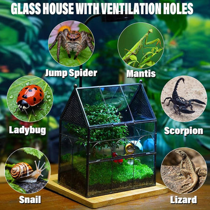Geometric Glass House Terrarium - Metal Frame Breeding Box with Vents
