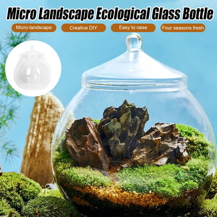 Mini Micro Landscape Eco Glass Bottle Terrarium Desktop Garden Made Nature Gift