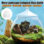 Mini Micro Landscape Eco Glass Bottle Terrarium Desktop Garden Made Nature Gift