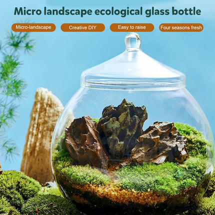 Mini Micro Landscape Eco Glass Bottle Terrarium Desktop Garden Made Nature Gift