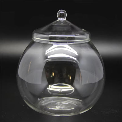 Mini Micro Landscape Eco Glass Bottle Terrarium Desktop Garden Made Nature Gift