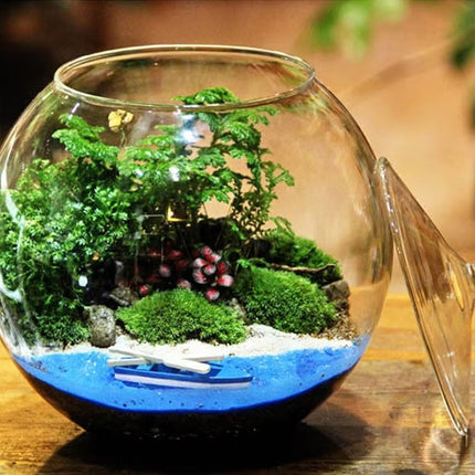 Mini Micro Landscape Eco Glass Bottle Terrarium Desktop Garden Made Nature Gift