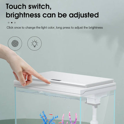 Ultra White Glass Smart Fish Tank Integrated Filter LED Temperature Display
