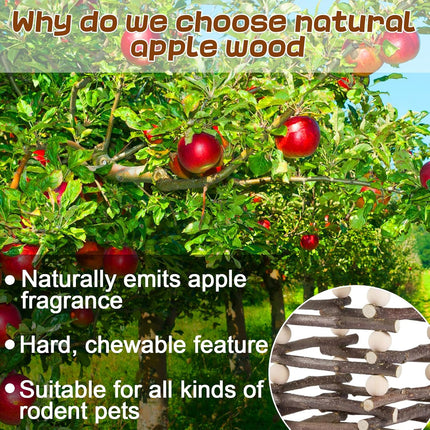 Rabbit Hay Feeder Rack Apple Wood Grass Holder Natural Food Rack Small Pet