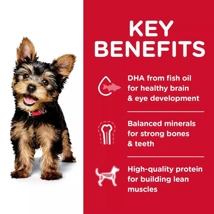 Hill’s Science Diet Small and Mini Puppy Dry Food  DHA and Nutrient Rich Formula 5670G