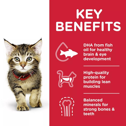 Hill  Science Diet Kitten Chicken Cat Food Pouches  Balanced Nutrition 85gX12