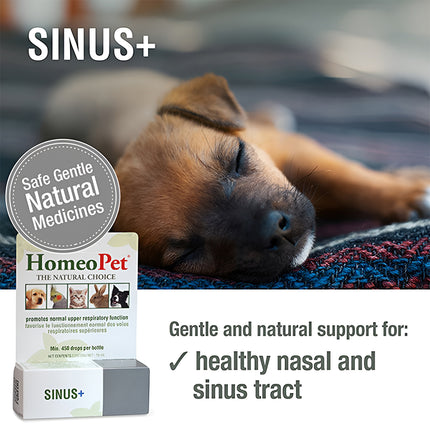 HOMEOPET SINUS and 15ML