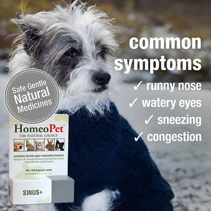 HOMEOPET SINUS and 15ML
