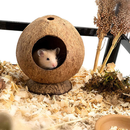 Coconut Hamster Toy Supplies Equipment Nest Warm Winter Space Saving Durable
