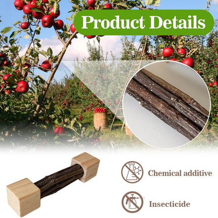 Natural Apple Wood Pet Chew Stick Teeth Grinding Toy for Hamster Rabbit