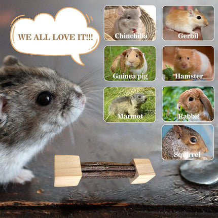 Natural Apple Wood Pet Chew Stick Teeth Grinding Toy for Hamster Rabbit