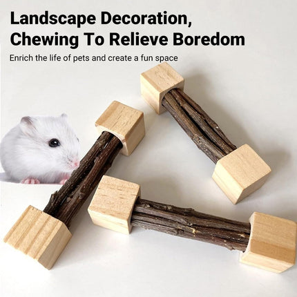 Natural Apple Wood Pet Chew Stick Teeth Grinding Toy for Hamster Rabbit