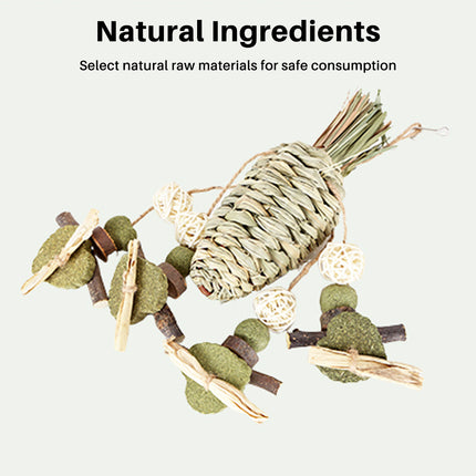 Rabbit Chinchilla Chew Toy Molar Toy Safe Non Toxic Promotes Dental Health