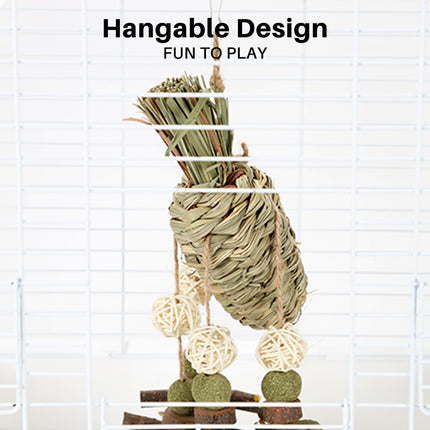 Rabbit Chinchilla Chew Toy Molar Toy Safe Non Toxic Promotes Dental Health