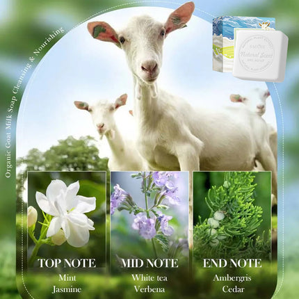 5pcs Plant based Fruit Soap Cleaning Handmade Soap for Body Face Skin Daily Use