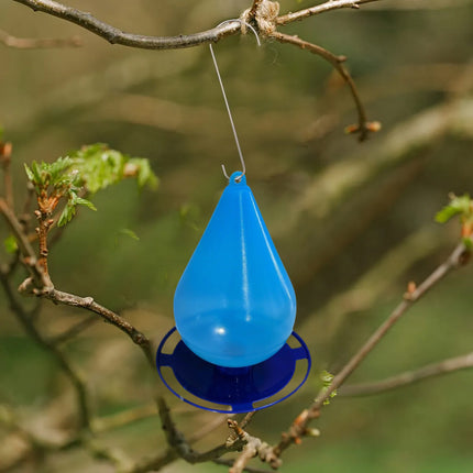 Hanging Bird Water Feeder Durable Safe Easy to Clean for Garden Yard Patio Use