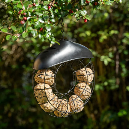 Hanging Outdoor Bird Feeder Metal Wire Ring Domed Roof for Suet Balls 40cm
