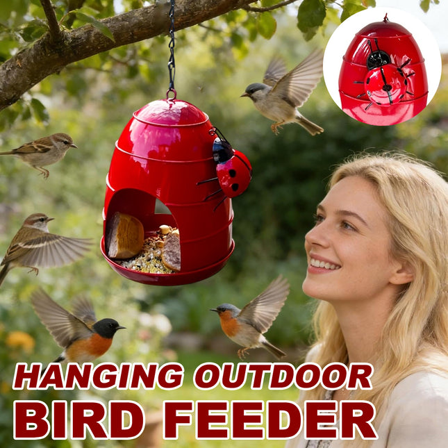 Hanging Metal Bird Feeder with Ladybug Accent - Outdoor Garden Feeding Dish