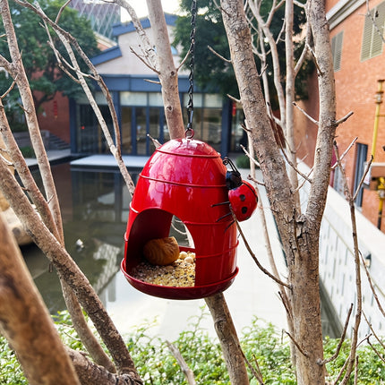 Hanging Metal Bird Feeder with Ladybug Accent - Outdoor Garden Feeding Dish