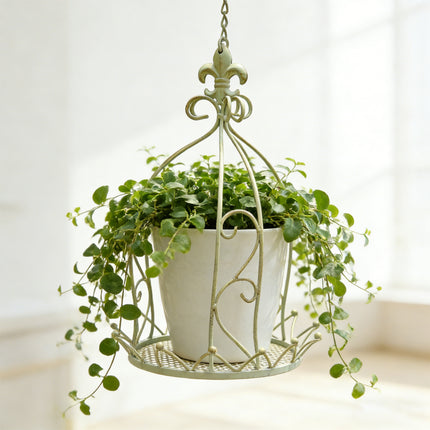 Hanging iron basket planter holder detail - S hook chain mounting for pergola tree branch or bracket