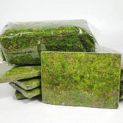 Compressed Moss Pad Reptile Moisturizing Mat Snake Lizard Amphibian Terrarium