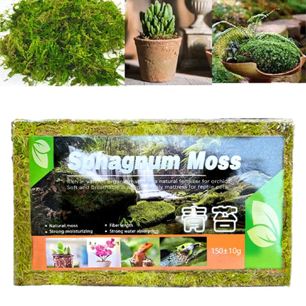 Compressed Moss Pad Reptile Moisturizing Mat Snake Lizard Amphibian Terrarium