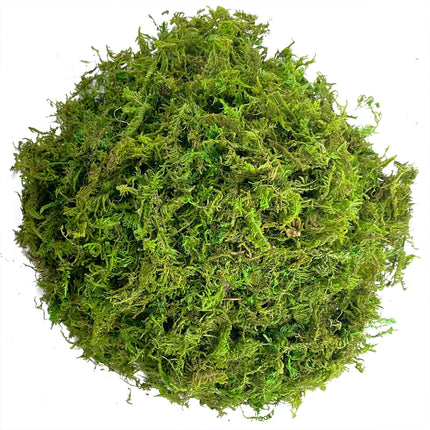 Compressed Moss Pad Reptile Moisturizing Mat Snake Lizard Amphibian Terrarium