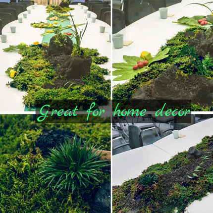 Compressed Moss Pad Reptile Moisturizing Mat Snake Lizard Amphibian Terrarium