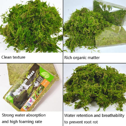 Compressed Moss Pad Reptile Moisturizing Mat Snake Lizard Amphibian Terrarium