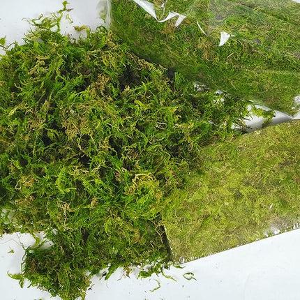 Compressed Moss Pad Reptile Moisturizing Mat Snake Lizard Amphibian Terrarium