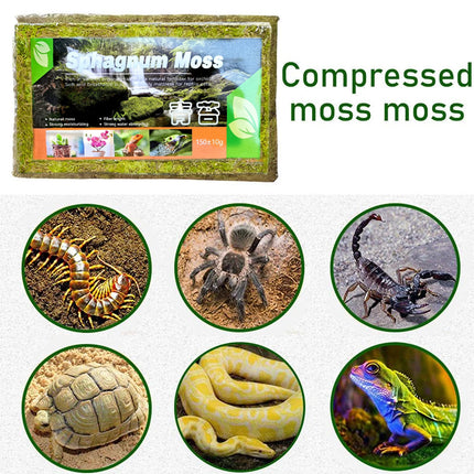 Compressed Moss Pad Reptile Moisturizing Mat Snake Lizard Amphibian Terrarium