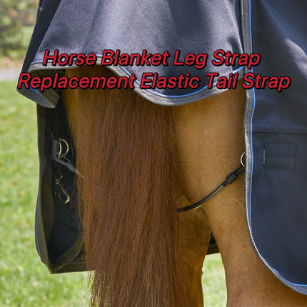 5PCS Elastic Horse Blanket Straps with Double Clips for Riding Training Stable
