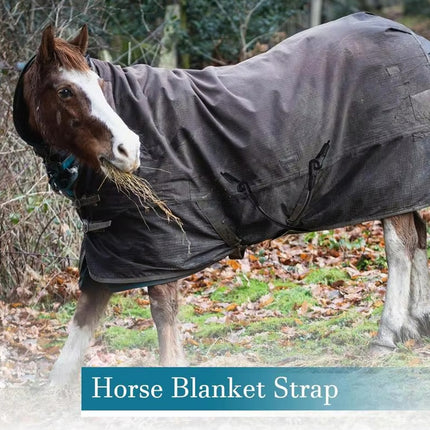 5PCS Elastic Horse Blanket Straps with Double Clips for Riding Training Stable