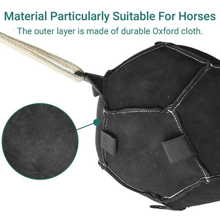 Interactive Horse Carrot Treat Feeder Toy Hanging Puzzle Ball for Stables