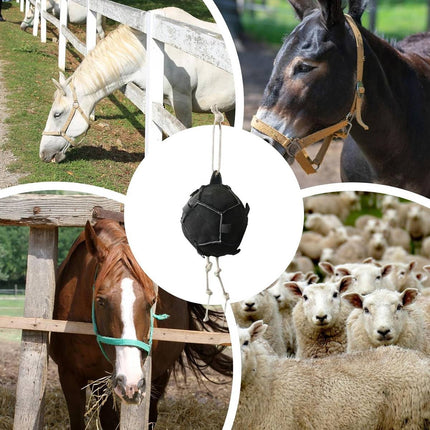 Interactive Horse Carrot Treat Feeder Toy Hanging Puzzle Ball for Stables