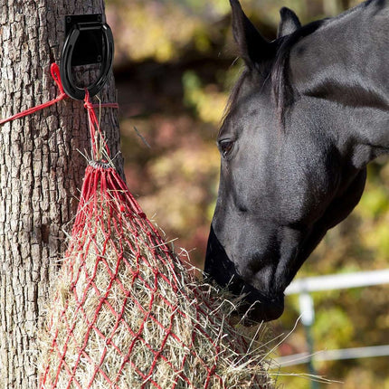 Horseshoe Style Iron Horse Tie Ring Wall Mount