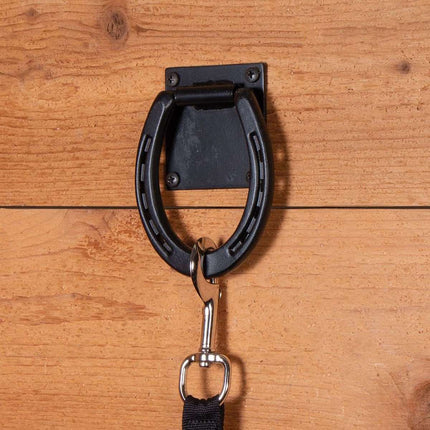 Horseshoe Style Iron Horse Tie Ring Wall Mount