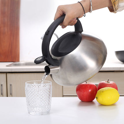 Stainless Steel Whistling Kettle 3L Matte Silver Stove Top Induction Gas Teapot