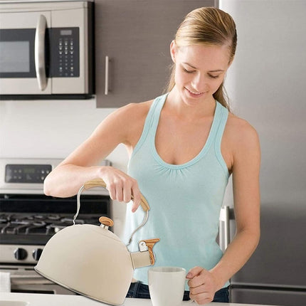 Off White Kettle Whistling Kettle Stainless Steel Stovetop Kitchen Cookware