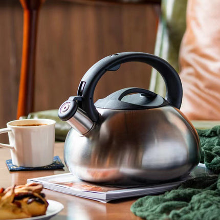 Stainless Steel Whistling Kettle 3L Matte Silver Stove Top Induction Gas Teapot