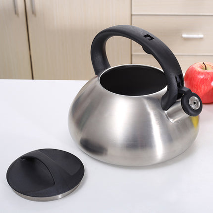 Stainless Steel Whistling Kettle 3L Matte Silver Stove Top Induction Gas Teapot